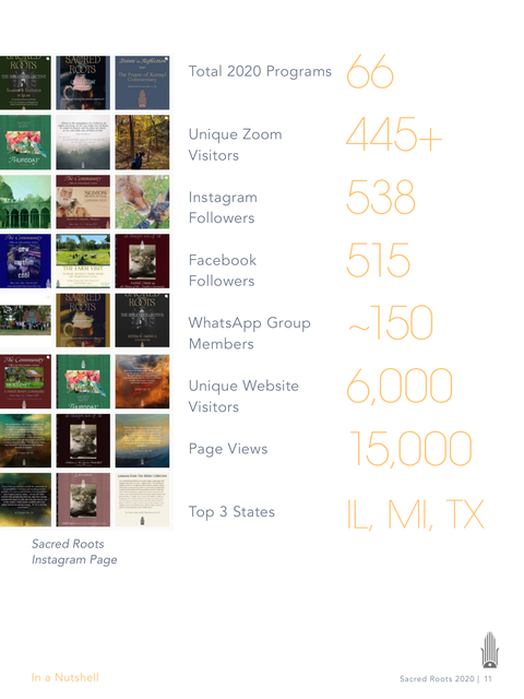 Page 11 of the 2020 Year in Review, with its 66-program total and other reported figures.
